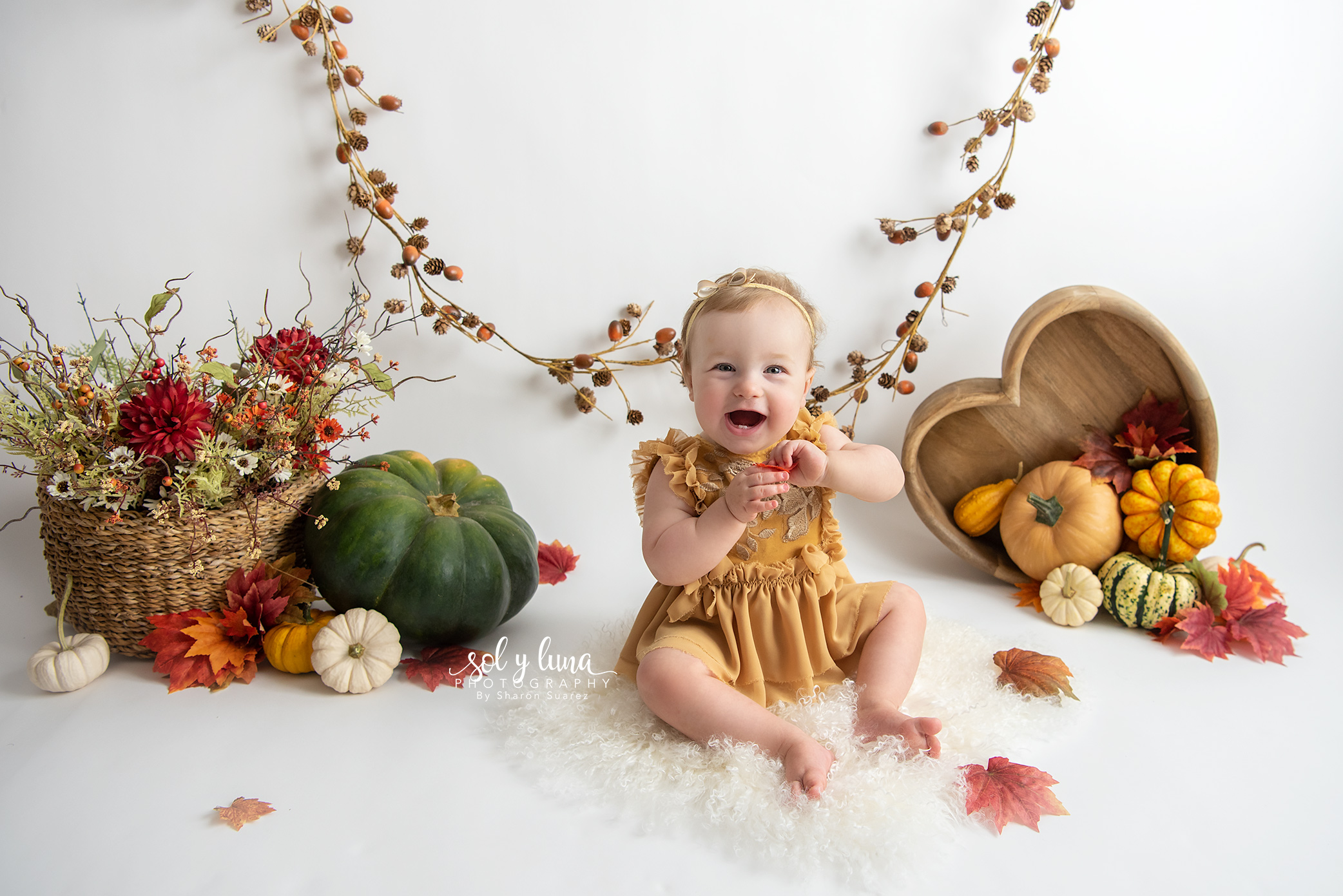 Babyfotoshooting Bern, Solothurn