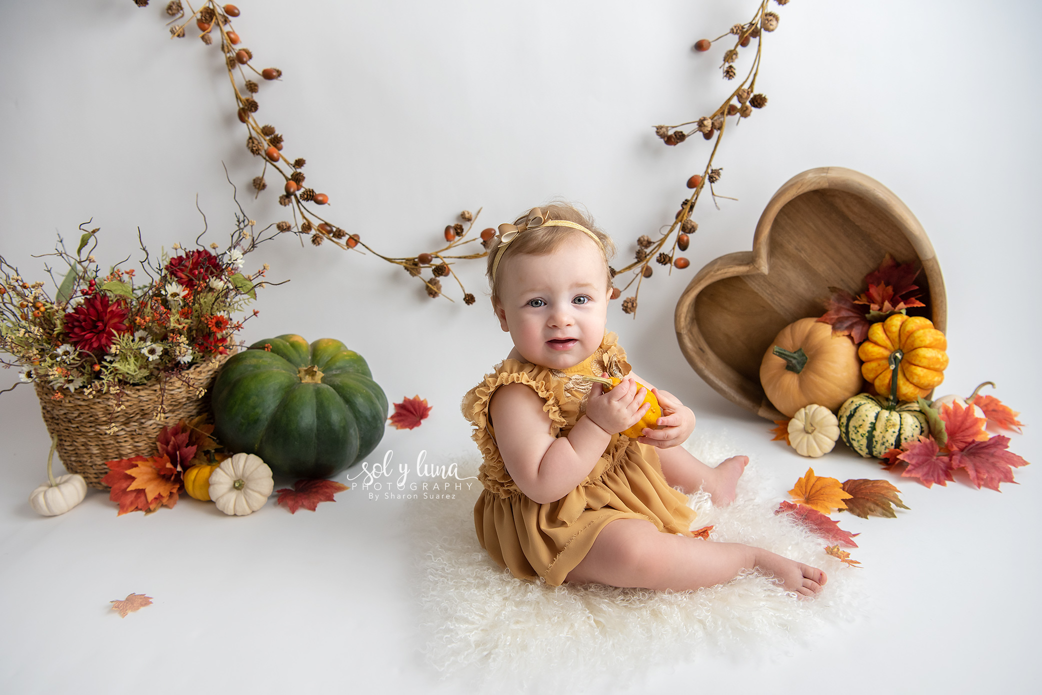 Babyfotoshooting Bern, Solothurn