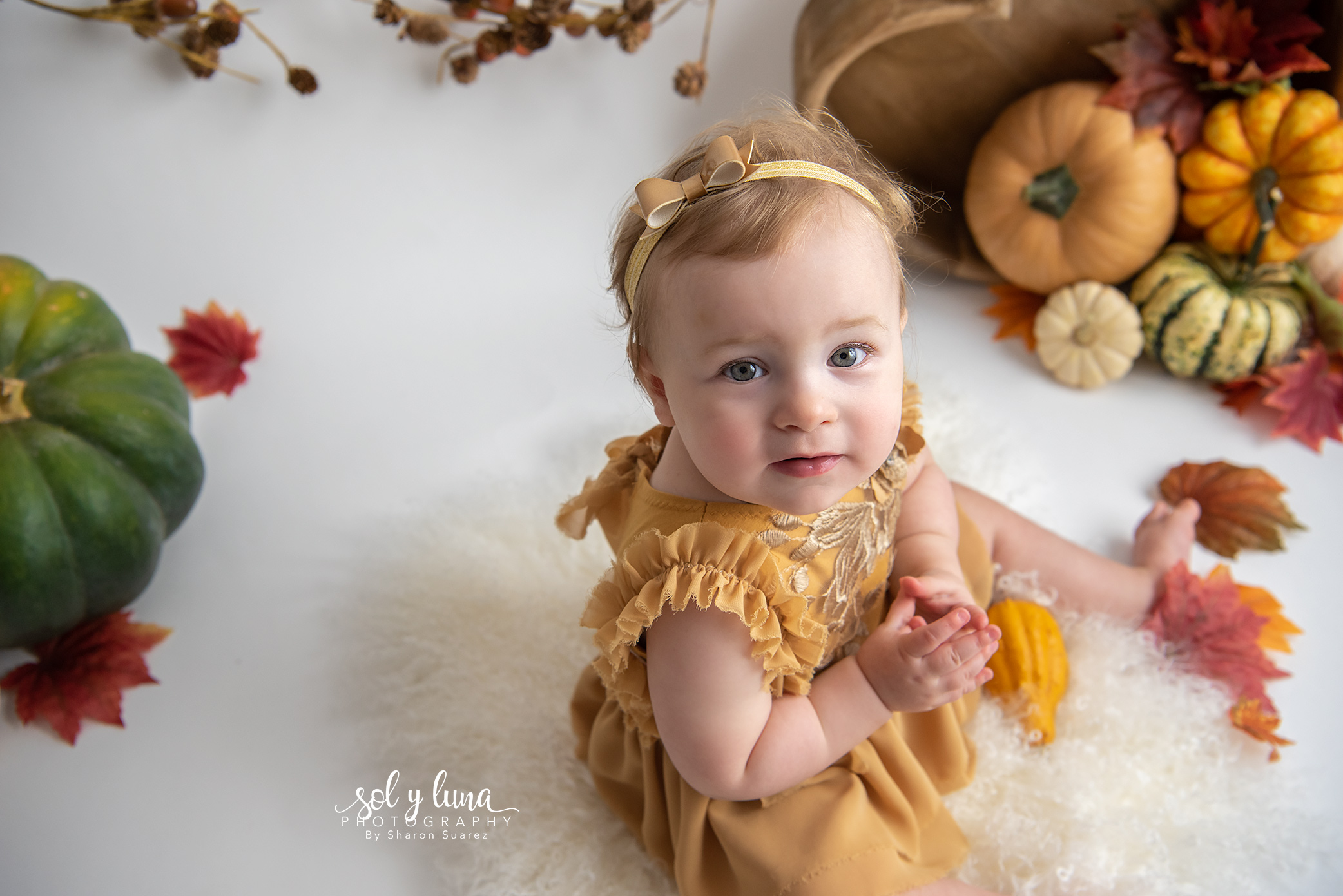 Babyfotoshooting Bern, Solothurn