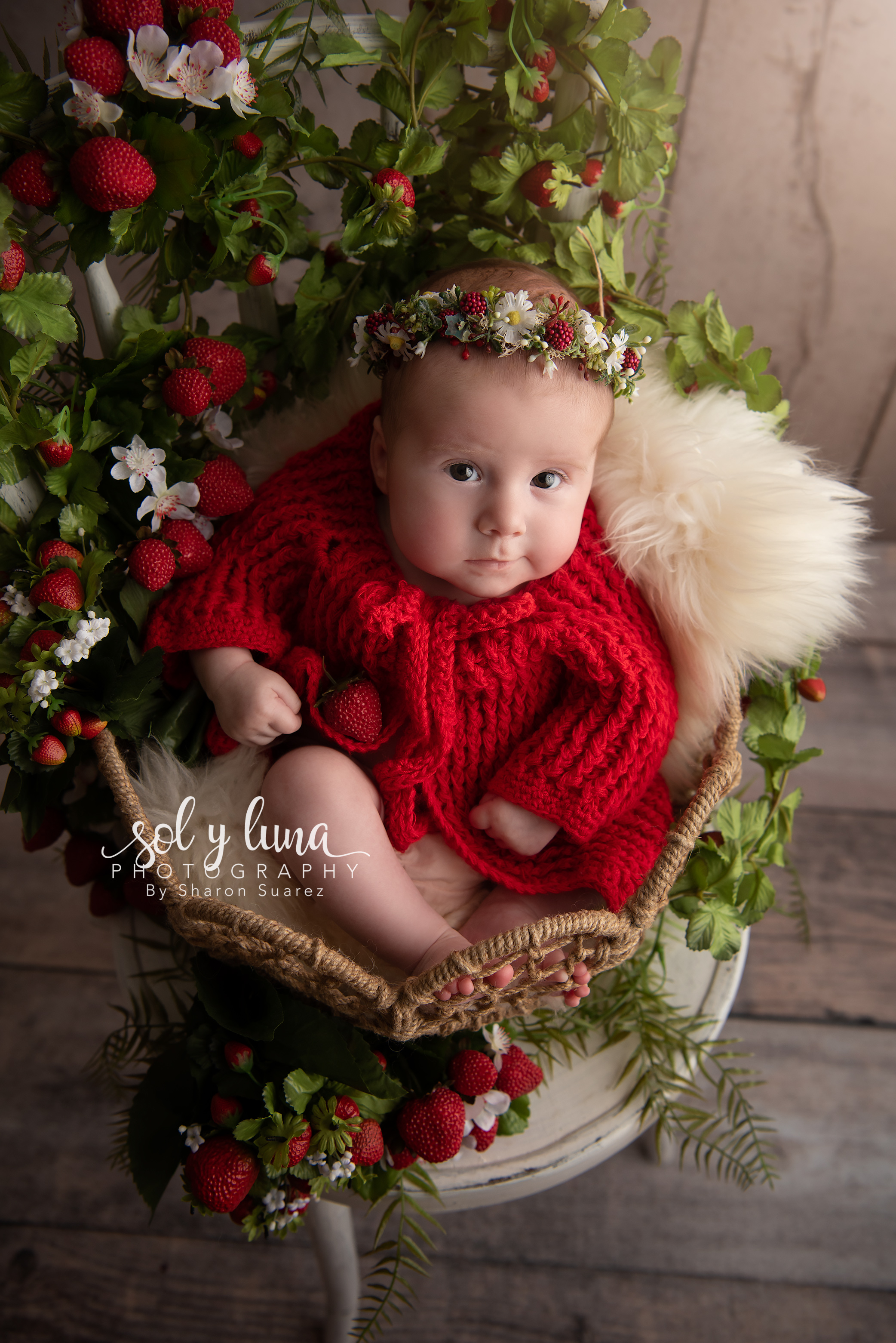 Babyfotoshooting Bern, Solothurn