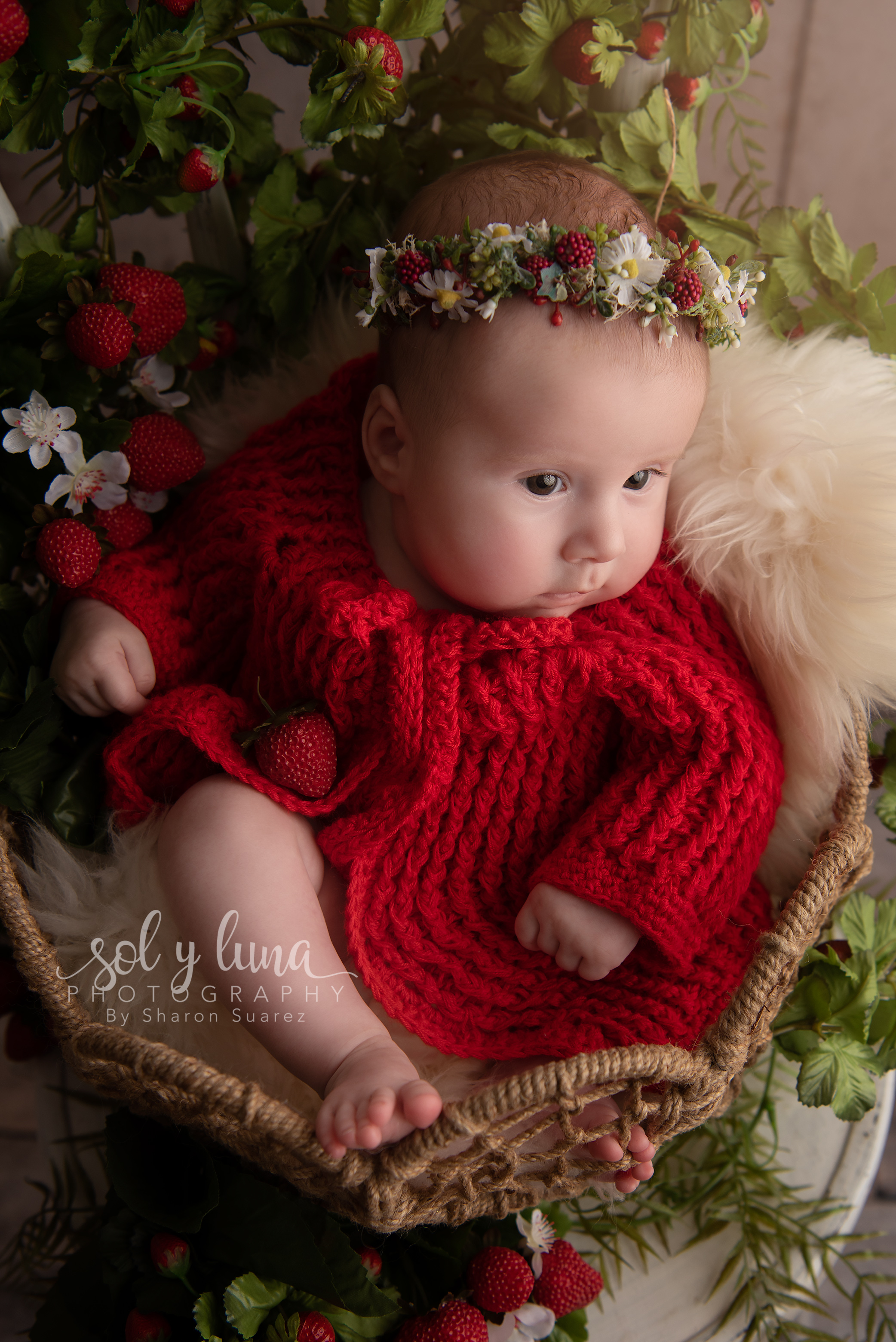 Babyfotoshooting Bern, Solothurn