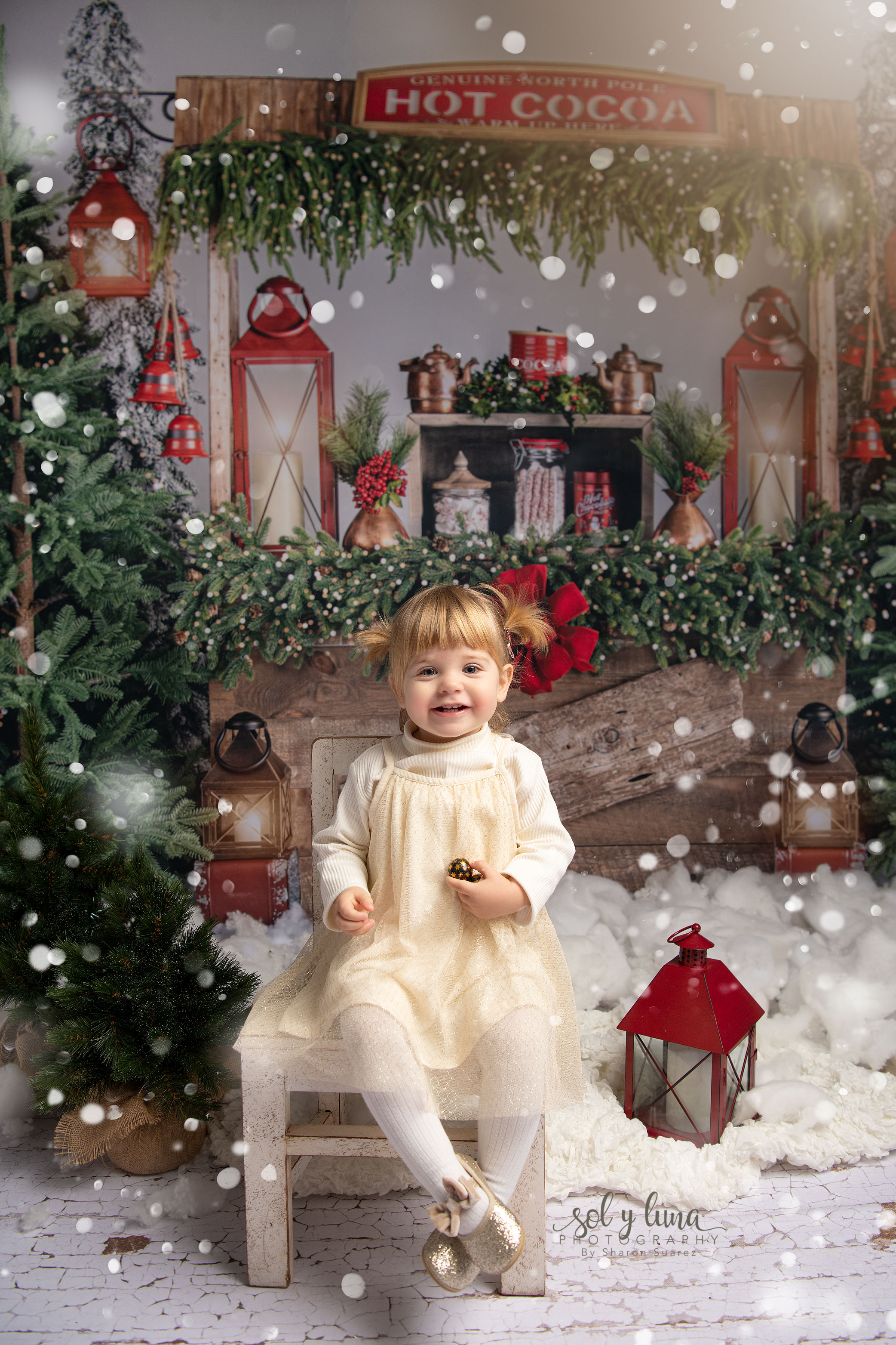 Weihnachten Fotoshooting Solothurn und Umgebung